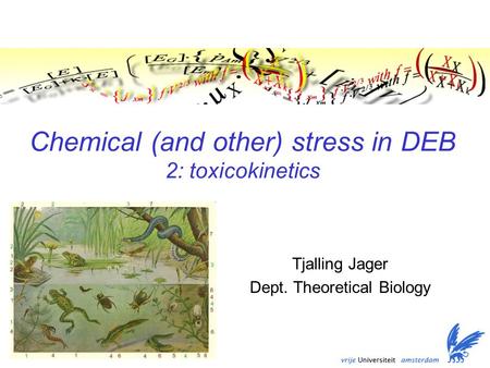 Chemical (and other) stress in DEB 2: toxicokinetics Tjalling Jager Dept. Theoretical Biology TexPoint fonts used in EMF. Read the TexPoint manual before.