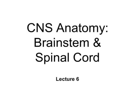 CNS Anatomy: Brainstem & Spinal Cord Lecture 6. Mesencephalon n Surrounds cerebral aqueduct n Tectum l Superior Colliculi - vision l Inferior Colliculi.