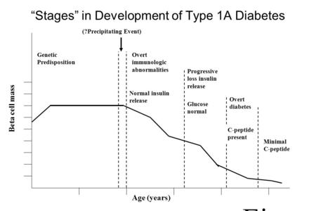 “Stages” in Development of Type 1A Diabetes Age (years) Genetic Predisposition Beta cell mass (?Precipitating Event) Overt immunologic abnormalities Normal.