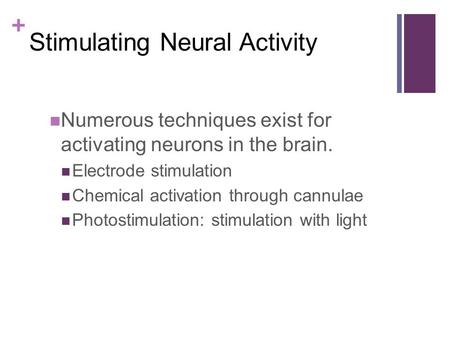 + Stimulating Neural Activity Numerous techniques exist for activating neurons in the brain. Electrode stimulation Chemical activation through cannulae.