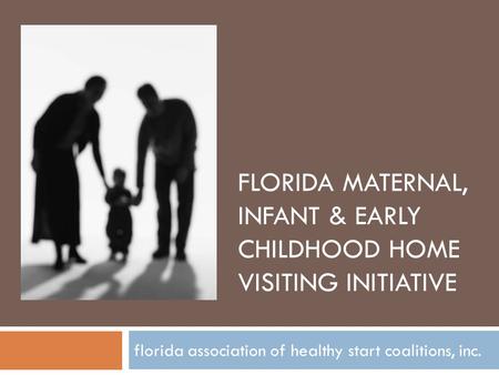 FLORIDA MATERNAL, INFANT & EARLY CHILDHOOD HOME VISITING INITIATIVE florida association of healthy start coalitions, inc.