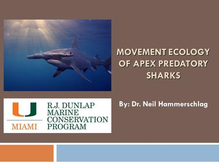 MOVEMENT ECOLOGY OF APEX PREDATORY SHARKS By: Dr. Neil Hammerschlag.