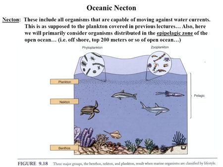 Oceanic Necton Necton: These include all organisms that are capable of moving against water currents. This is as supposed to the plankton covered in previous.