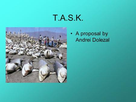 T.A.S.K. A proposal by Andrei Dolezal The Shark’s are Dying! Worldwide hundreds of millions of sharks are fished and shark finned. If this continues.