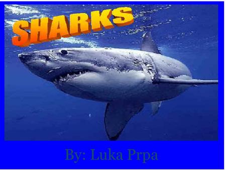By: Luka Prpa. What is a shark? Sharks are skillful predators, but only a few of them are dangerous to people. Sharks range in size from about 6.5 inches.