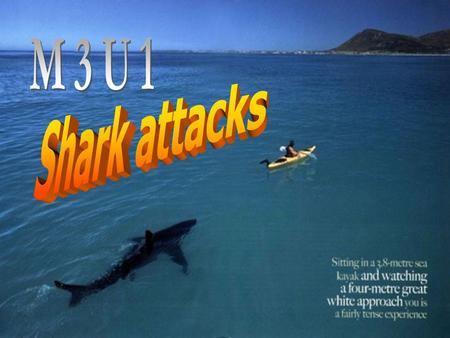3 types of sharks which are 1___ to attack human beings the great white shark the tiger shark the bull shark 3 types of shark attacks, which are 2______.