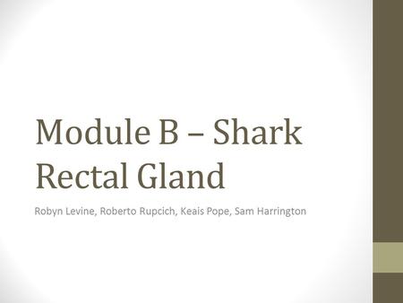 Module B – Shark Rectal Gland Robyn Levine, Roberto Rupcich, Keais Pope, Sam Harrington.