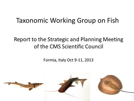 Report to the Strategic and Planning Meeting of the CMS Scientific Council Formia, Italy Oct 9-11, 2013.