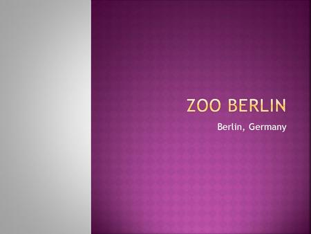 Berlin, Germany.  Hardenbergplatz 8, 10787 Berlin, Germany  34 hectares (84 acres)  1550+ species and 17000+ animals  Most comprehensive zoo in the.