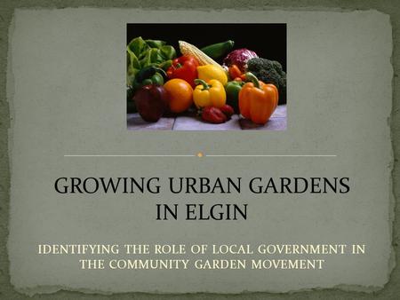 IDENTIFYING THE ROLE OF LOCAL GOVERNMENT IN THE COMMUNITY GARDEN MOVEMENT GROWING URBAN GARDENS IN ELGIN.