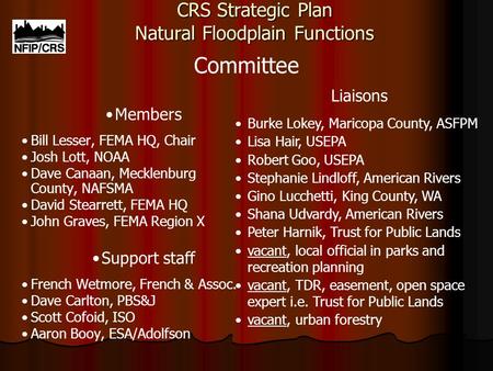 CRS Strategic Plan Natural Floodplain Functions Members Bill Lesser, FEMA HQ, Chair Josh Lott, NOAA Dave Canaan, Mecklenburg County, NAFSMA David Stearrett,
