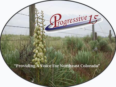 “Providing A Voice For Northeast Colorado”. 15 Counties Established 2000.