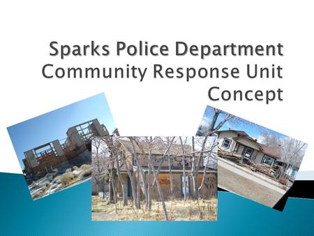  Community Response Unit (CRU) functions  Organizational chart  Mission  Problem identification  Response and solutions  Measurable outcomes  Resources.