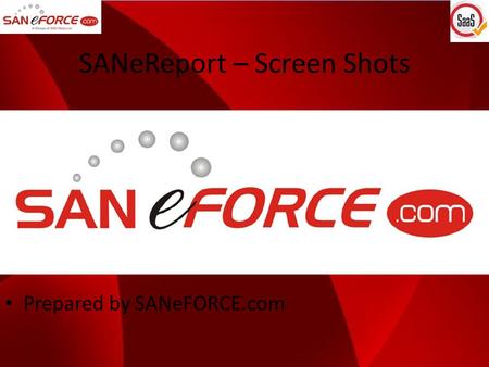 SANeReport – Screen Shots Prepared by SANeFORCE.com.