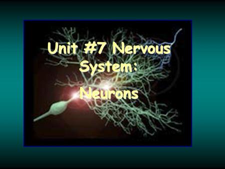 Unit #7 Nervous System: Neurons.