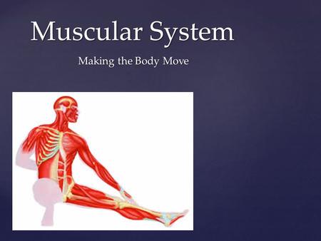 { Muscular System Making the Body Move.  Voluntary – you can control  Involuntary – work independently Muscles are Smart.
