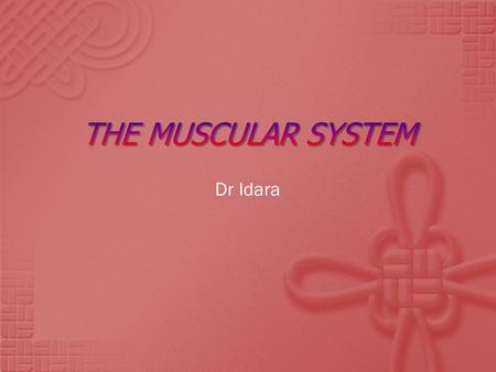 THE MUSCULAR SYSTEM Dr Idara.