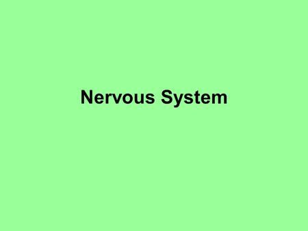 Nervous System.