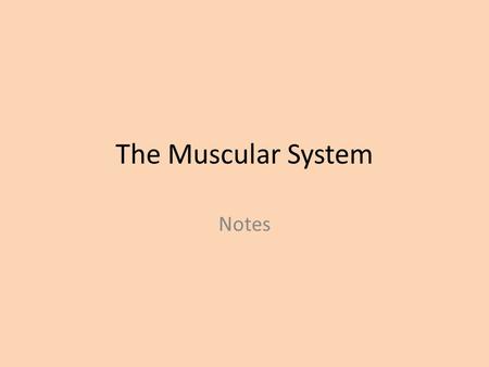 The Muscular System Notes. Note- The Muscular Systems I. The Muscular System A. Muscles are the motors that move body parts. B. There are more than 600.