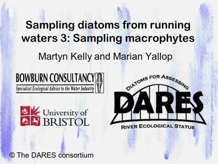 Sampling diatoms from running waters 3: Sampling macrophytes Martyn Kelly and Marian Yallop © The DARES consortium.