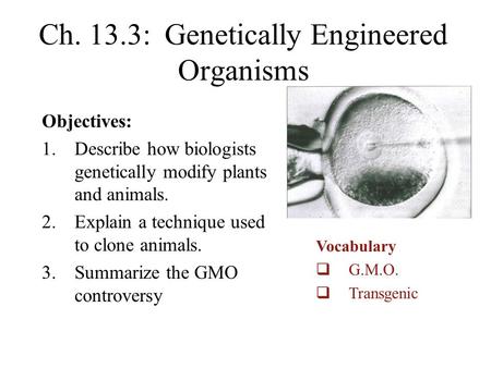 Ch. 13.3: Genetically Engineered Organisms