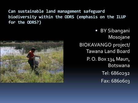 Can sustainable land management safeguard biodiversity within the ODRS (emphasis on the ILUP for the ODRS?)  BY Sibangani Mosojane BIOKAVANGO project/