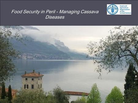Food Security in Peril - Managing Cassava Diseases Author.