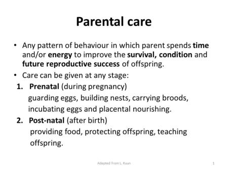 Any pattern of behaviour in which parent spends time and/or energy to improve the survival, condition and future reproductive success of offspring. Care.