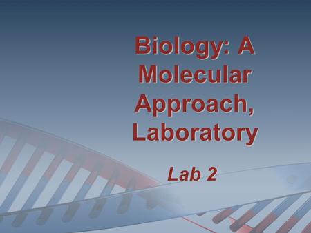 Biology: A Molecular Approach, Laboratory