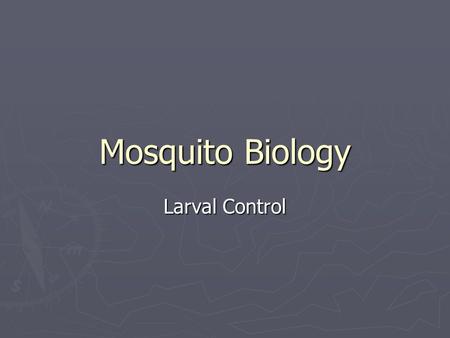 Mosquito Biology Larval Control. General Points ► Four development stages (egg/larva/pupa/adult) ► Immature stages need standing water (egg/larva/pupa)