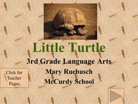 3rd Grade Language Arts Mary Ruebusch McCurdy School