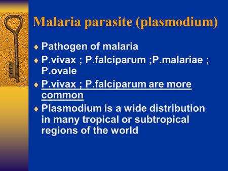 Malaria parasite (plasmodium)  Pathogen of malaria  P.vivax ; P.falciparum ;P.malariae ; P.ovale  P.vivax ; P.falciparum are more common  Plasmodium.
