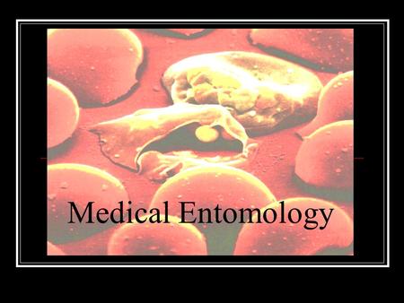 Medical Entomology. Insects of Medical Importance Directly cause damage to human tissue Act as Vectors for disease-causing organisms ------------------------------------------------------------