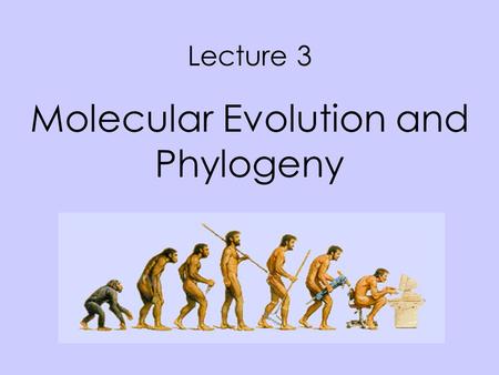 Lecture 3 Molecular Evolution and Phylogeny. Facts on the molecular basis of life Every life forms is genome based Genomes evolves There are large numbers.