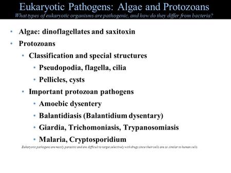 Eukaryotic Pathogens: Algae and Protozoans What types of eukaryotic organisms are pathogenic, and how do they differ from bacteria? Algae: dinoflagellates.
