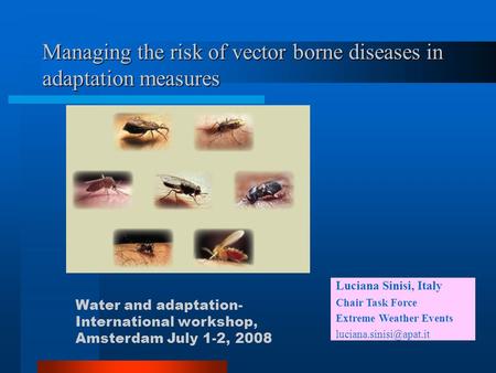 Managing the risk of vector borne diseases in adaptation measures Luciana Sinisi, Italy Chair Task Force Extreme Weather Events