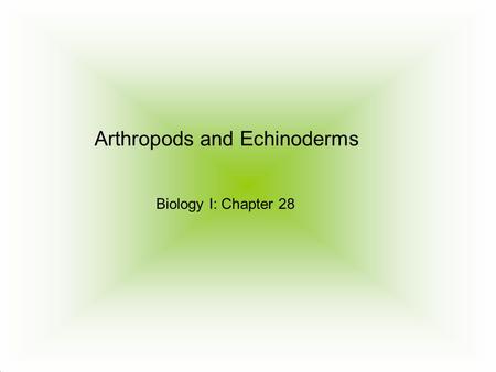 Arthropods and Echinoderms Biology I: Chapter 28.