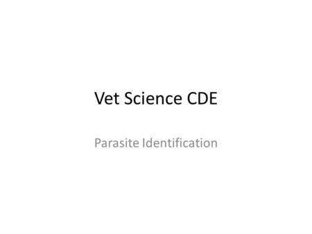 Parasite Identification
