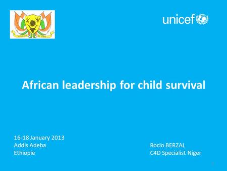 1 16-18 January 2013 Addis Adeba Rocio BERZAL Ethiopie C4D Specialist Niger African leadership for child survival.