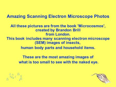 Amazing Scanning Electron Microscope Photos All these pictures are from the book 'Microcosmos', created by Brandon Brill from London. This book includes.