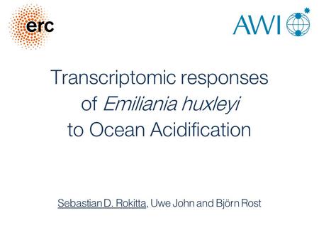 Transcriptomic responses of Emiliania huxleyi to Ocean Acidification Sebastian D. Rokitta, Uwe John and Björn Rost.