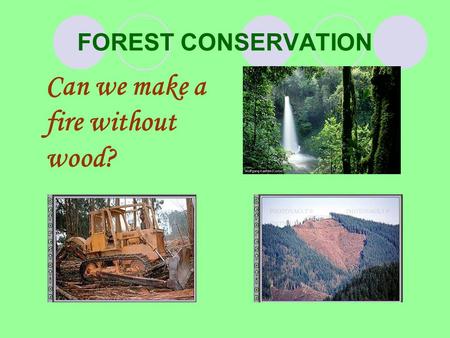 FOREST CONSERVATION Can we make a fire without wood?