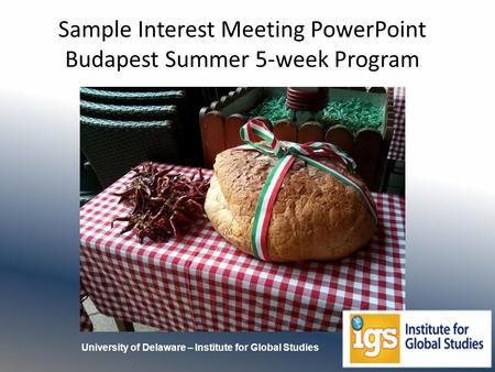 Sample Interest Meeting PowerPoint Budapest Summer 5-week Program University of Delaware – Institute for Global Studies.