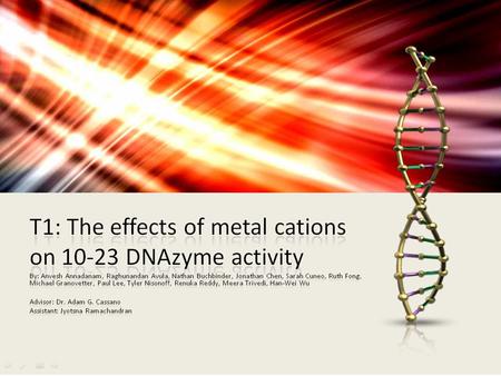 T1: The effects of metal cations on 10-23 DNAzyme activity By: Anvesh Annadanam, Raghunandan Avula, Nathan Buchbinder, Jonathan Chen, Sarah Cuneo, Ruth.