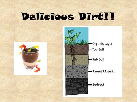 Delicious Dirt!!. Did you know that soil has different layers. We are studying those different layers in science. The three main layers are bedrock, subsoil,