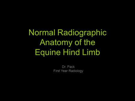 Normal Radiographic Anatomy of the Equine Hind Limb