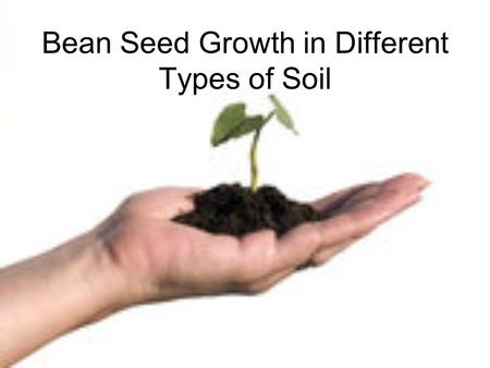 Bean Seed Growth in Different Types of Soil. Big Question Do seeds grow better in potting soil, coffee grounds, sand, or cow manure?