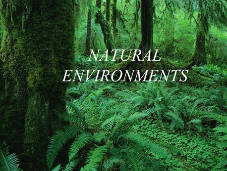 NATURAL ENVIRONMENTS. PART ONE: GEOGRAPHICAL CHARACTERISTICS OF NATURAL ENVIRONMENTS.