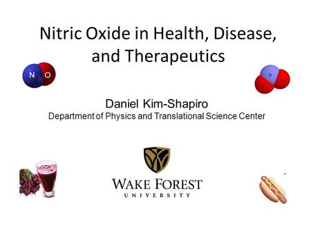 Nitric Oxide in Health, Disease, and Therapeutics NO Daniel Kim-Shapiro Department of Physics and Translational Science Center.
