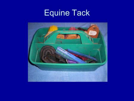 Equine Tack. Washing supplies Purpose: to remove sweat, dirt, mud, etc. from the horse’s body. Use all over, take care around the face and ears.